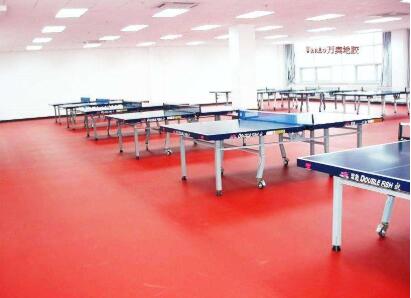 蘭州各種類(lèi)型的塑膠地板多少錢(qián)